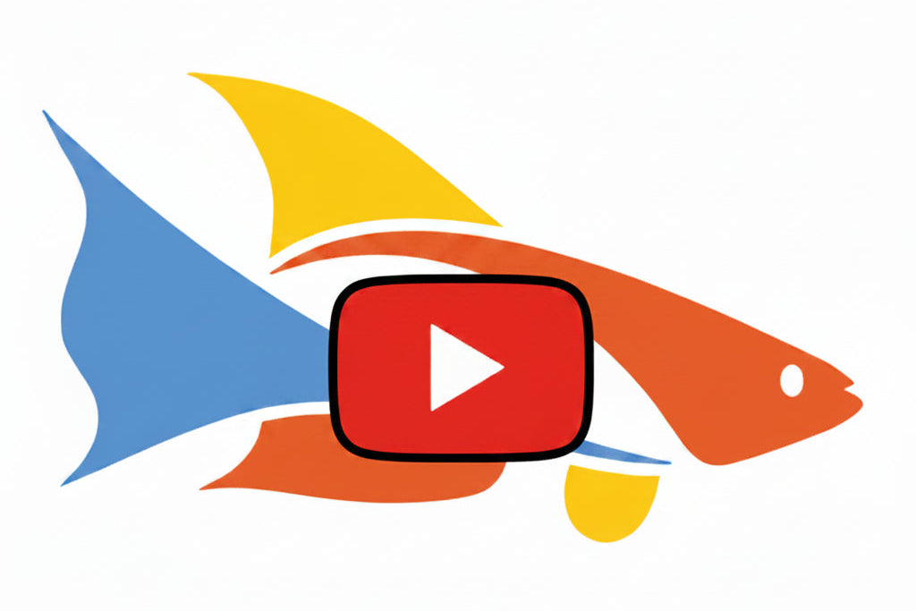 Dans_Fish_Logo_YouTube_Play